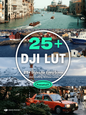 25 DJI LUT styles